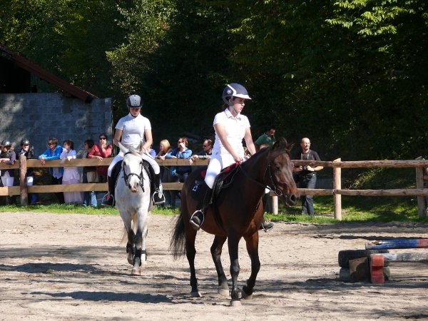 Babie Lato z Hucułami 2015